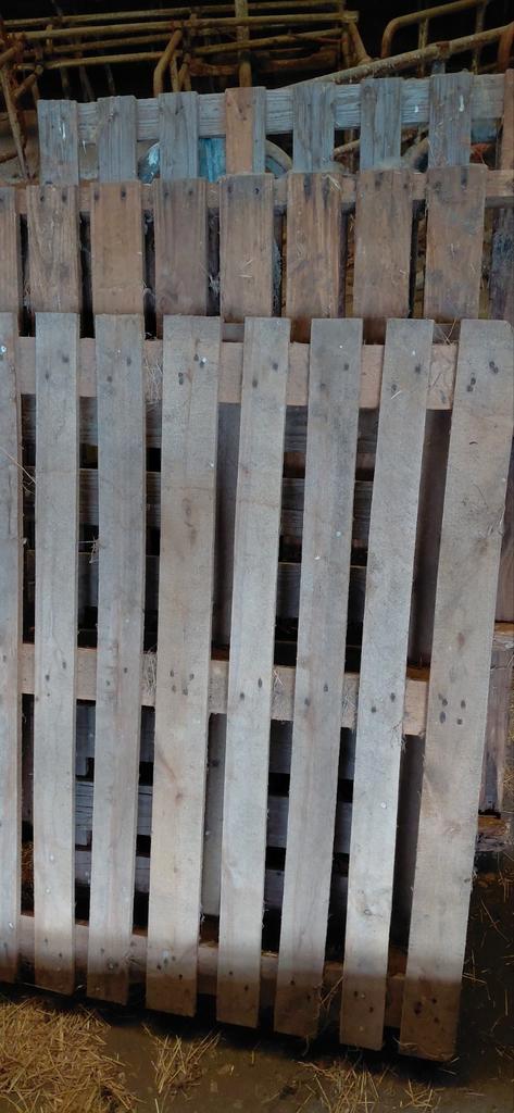Foto van 3 stuks maar Grote partij pallets te koop, Doe-het-zelf en Verbouw, Hout en Planken, Zo goed als nieuw, Pallet, Overige houtsoorten