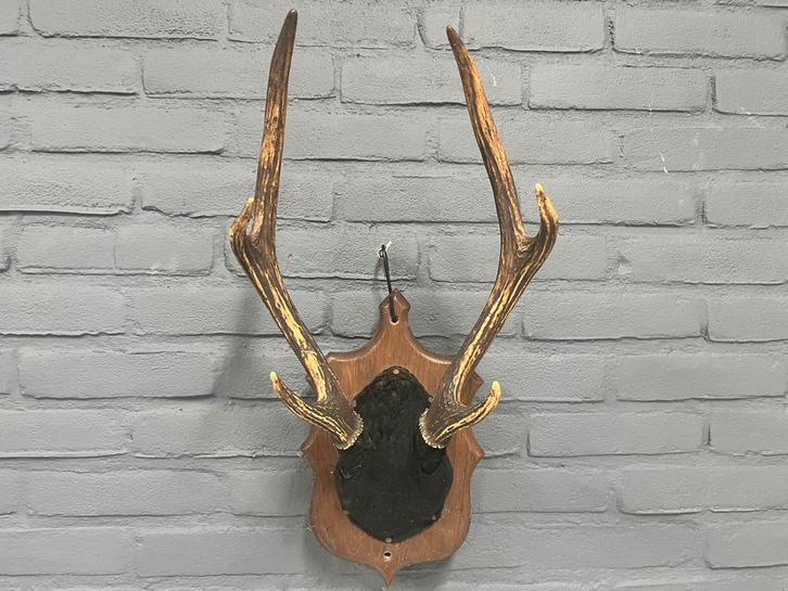 Herten Geweitje op houten schild, Huis en Inrichting, Woonaccessoires | Wanddecoraties, Gebruikt, Ophalen of Verzenden