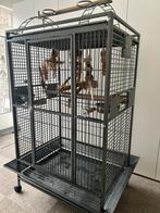 Papagaai kooi, Ophalen of Verzenden, Gebruikt, Metaal, Vogelkooi