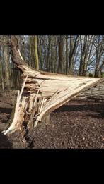 GRATIS BOMEN ZAGEN!!!!, Tuin en Terras, Haardhout, Minder dan 3 m³, Ophalen, Stammen