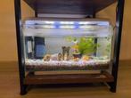 Aquarium, Dieren en Toebehoren, Vissen | Aquaria en Toebehoren, Ophalen, Zo goed als nieuw, Leeg aquarium