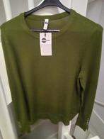 Nieuwe trui, viscose poly, M  Groen, Ophalen of Verzenden, Nieuw, Groen
