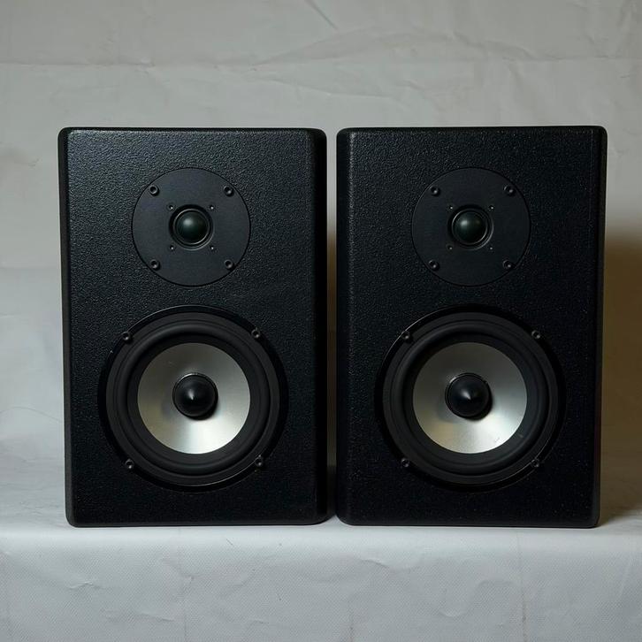 Custom made actieve studio luidsprekers (Seas), Audio, Tv en Foto, Luidsprekers, Gebruikt, Front, Rear of Stereo speakers, 60 tot 120 watt