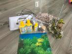 50L aquarium, Dieren en Toebehoren, Vissen | Aquaria en Toebehoren, Ophalen, Zo goed als nieuw