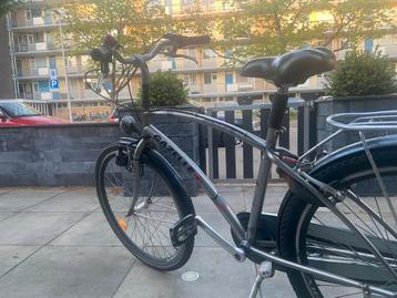 fiets- 26 inch beschikbaar voor biedingen