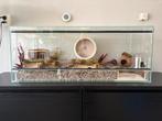 Hamster terrarium 80x40x40 + toebehoren voor dwerghamster, Zo goed als nieuw, Hok, Hamster, 75 tot 110 cm