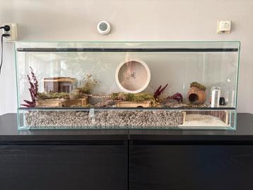 Hamster terrarium 80x40x40 + toebehoren voor dwerghamster beschikbaar voor biedingen