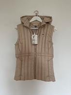 Bodywarmer Tommy hilfiger maat 36, Kleding | Dames, Bodywarmers, Nieuw, Tommy Hilfiger, Beige, Ophalen of Verzenden