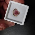 Watermeloen toermalijn schijfje, Ophalen of Verzenden, Nieuw