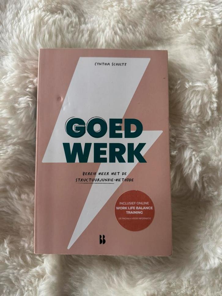 Cynthia Schultz - Goed werk, Boeken, Wetenschap, Zo goed als nieuw, Sociale wetenschap, Verzenden
