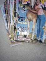 Penny Tijdschriften 2019 - Paardenmagazines, Boeken, Ophalen of Verzenden, Gelezen, Sport en Vrije tijd