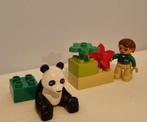 Lego DUPLO 6173 Panda, Kinderen en Baby's, Speelgoed | Duplo en Lego, Duplo, Ophalen of Verzenden, Zo goed als nieuw