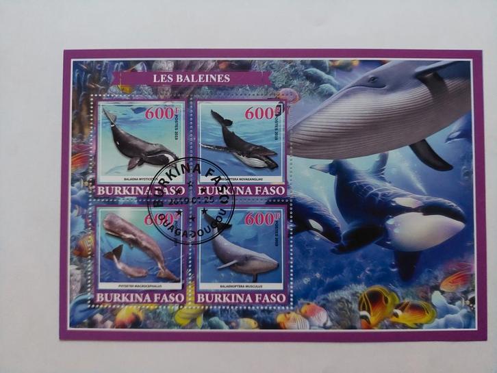 281 Motief, Dier, Dieren, Zeedier, Zeedieren, Orka, Postzegels en Munten, Postzegels | Thematische zegels, Gestempeld, Dier of Natuur