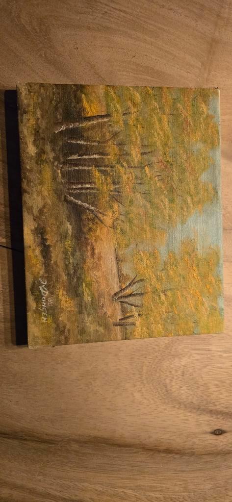 Schilderij van Jan van Dongen, Antiek en Kunst, Kunst | Schilderijen | Klassiek, Ophalen of Verzenden