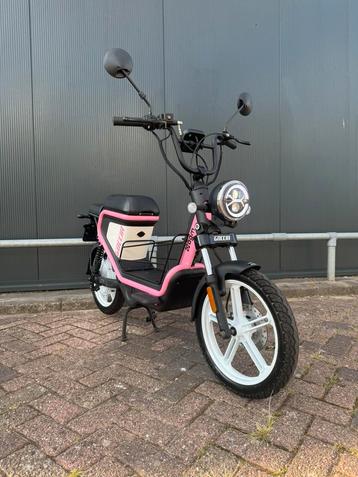 AGM Goccia elektrische snor scooter ( tomos puch ciao) beschikbaar voor biedingen