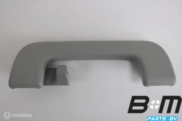 Handgreep in hemel RA (bijrijderskant) Audi S3 8V Sportback, Auto-onderdelen, Interieur en Bekleding, Gebruikt