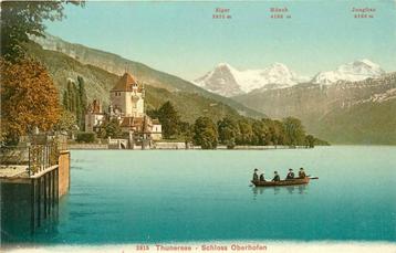 (381-203-047) Thunersee Schloss Oberhofen beschikbaar voor biedingen