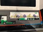 Tekno Daf 105XF the Greenery Dijco in doos, Hobby en Vrije tijd, Modelauto's | 1:50, Ophalen of Verzenden, Zo goed als nieuw, Bus of Vrachtwagen