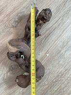 Wijnranken Knaagdieren reptiel, Ophalen of Verzenden