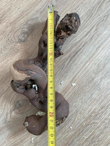 Wijnranken Knaagdieren reptiel beschikbaar voor biedingen