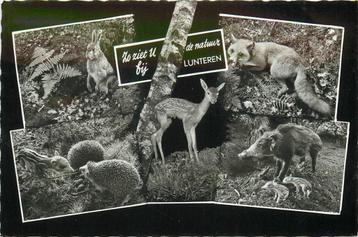 (387-058-055) Lunteren de Natuur beschikbaar voor biedingen