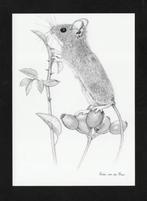 Veldmuis Knaagdier Rozenbottel Pentekening, Hinke v.d. Meer., Ophalen of Verzenden, 1980 tot heden, Ongelopen, Knaagdier