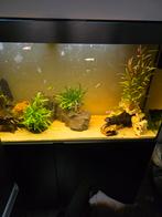 Aqarium compleet, Dieren en Toebehoren, Vissen | Aquaria en Toebehoren, Ophalen, Zo goed als nieuw, Leeg aquarium