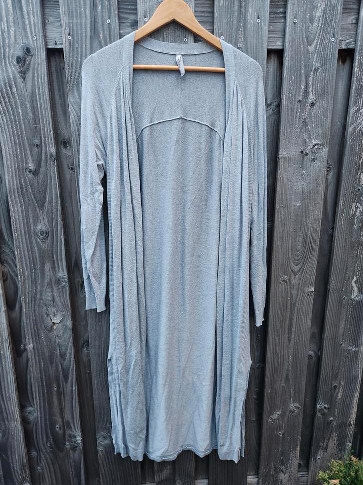 Lang vest grijs Miss etam maat 48, Kleding | Dames, Grote Maten, Gedragen, Trui of Vest, Grijs, Ophalen of Verzenden