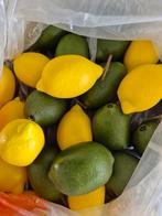 kunststof fruit: deco limoenen en citroenen, Ophalen, Gebruikt
