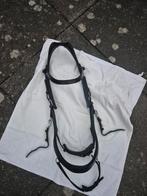 Presteq Faysport hoofdstel Full, Dieren en Toebehoren, Paarden en Pony's | Hoofdstellen en Tuigage, Ophalen of Verzenden, Gebruikt
