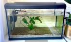 Aquarium with all equipments, Dieren en Toebehoren, Vissen | Aquaria en Toebehoren, Ophalen, Leeg aquarium