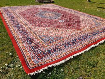 Prachtig handgeknoopt perzisch tapijt BIDJAR 258 x 347 cm beschikbaar voor biedingen