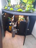 Aquarium Jewel trigon 350L met Led/ co2/ 2 oase Biomasters, Dieren en Toebehoren, Ophalen of Verzenden, Gebruikt, Leeg aquarium