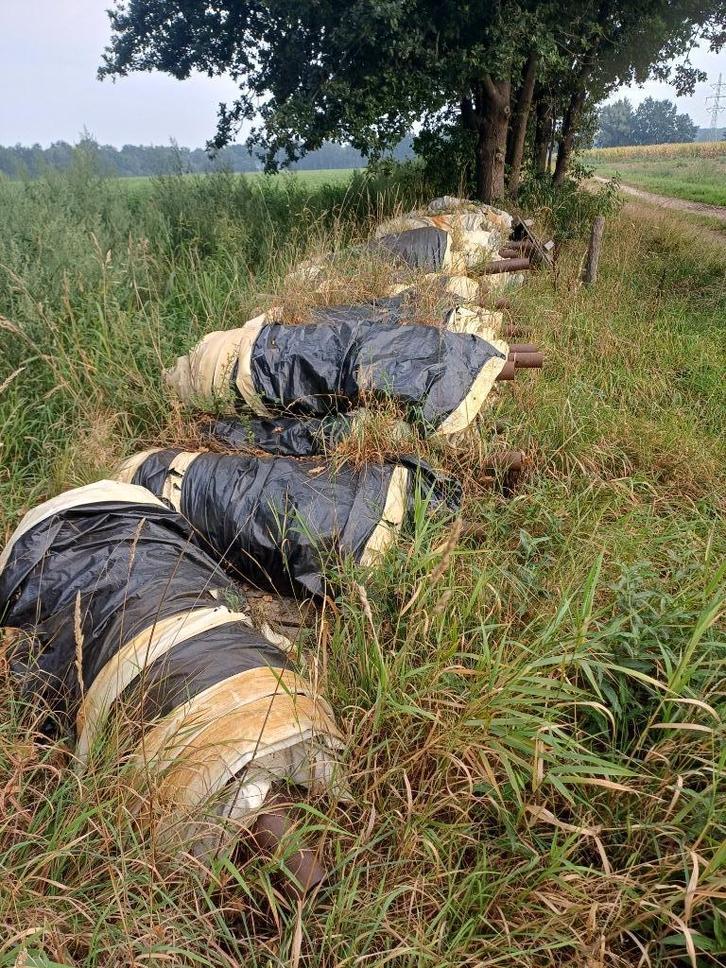 GRATIS ASPERGEFOLIE .IN PRIMA STAAT., Zakelijke goederen, Agrarisch | Aardappelen, Groenten, Fruit en Vlees, Ophalen