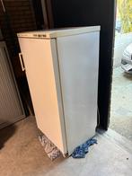 IJskast- Vrieskast-vriezer Bosch, perfecte staat, Witgoed en Apparatuur, Ophalen, Gebruikt, 45 tot 60 cm