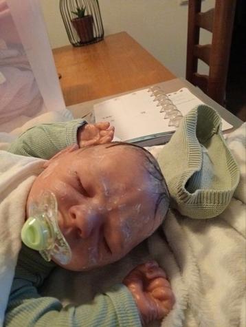 Prachtige Reborn Baby Pop beschikbaar voor biedingen