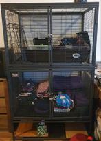 Midwest Critter Nation kooi, Ophalen, Kooi, Rat, Minder dan 75 cm