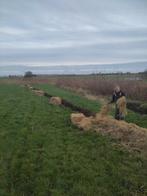 Oud Stro en Hooi gezocht!, Dieren en Toebehoren, Ophalen, Vee