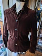 Donkerbruin fluwelen jasje Scapa 40, Maat 38/40 (M), Scapa, Bruin, Verzenden
