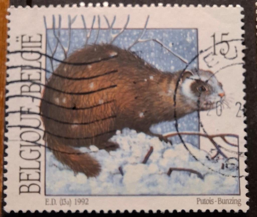 België 235 bunzing, Ophalen of Verzenden