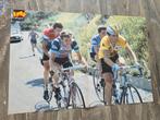 Poster van vroeger: Tour de France - Gele trui, Ophalen of Verzenden, Zo goed als nieuw, Overige typen