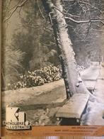 Katholieke Illustratie 1951 compleet en ingebonden te koop, Ophalen of Verzenden, 1940 tot 1960