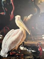 Loods 5 Kunst - Pelikaan Canvas Schilderij, Antiek en Kunst, Kunst | Schilderijen | Klassiek, Ophalen