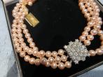 Collier in box nieuw, Ophalen of Verzenden, Nieuw, Overige materialen