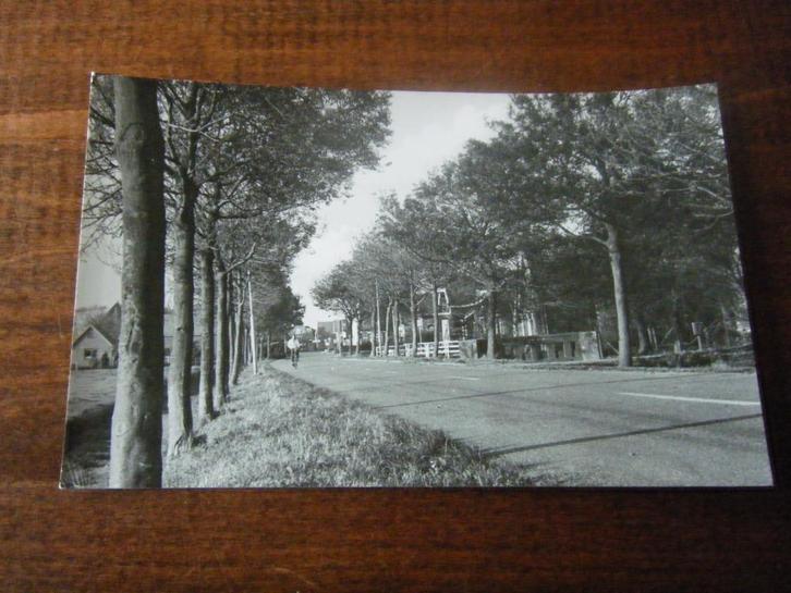 Z25 - Westwoud - Dr. Wijtemalaan - Mooi/Oud, Verzamelen, Ansichtkaarten | Nederland, Ophalen of Verzenden