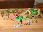 100% compleet! Playmobil 9132 De Magische feeëntuin, Kinderen en Baby's, Speelgoed | Playmobil, Ophalen of Verzenden, Zo goed als nieuw