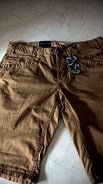 Pall Mall shorty broek maat 36 bruin, Nieuw, Maat 52/54 (L), Ophalen of Verzenden, Bruin