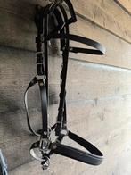 Halster/Hoofdstel biothane maat cob, Ophalen of Verzenden, Zo goed als nieuw, Overige soorten