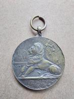 Penning 100 jaar Onafhankelijkheid Nederland 1813-1913, Ophalen of Verzenden, Overige materialen, Nederland