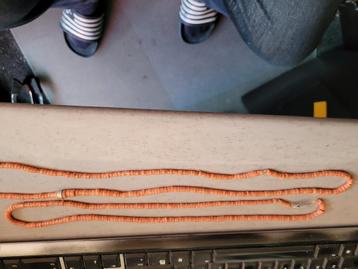 Koraal beschikbaar voor biedingen